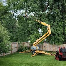 Leaf Removal in Mammoth Spring, AR